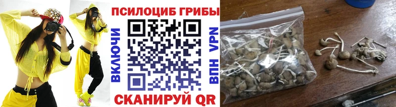 где найти наркотики  Сергач  Галлюциногенные грибы прущие грибы 